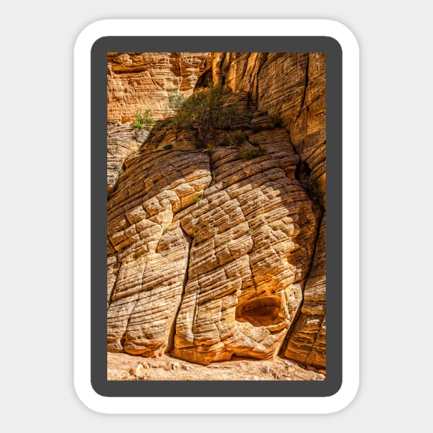 Lick Wash Trail Hike Sticker by Gestalt Imagery